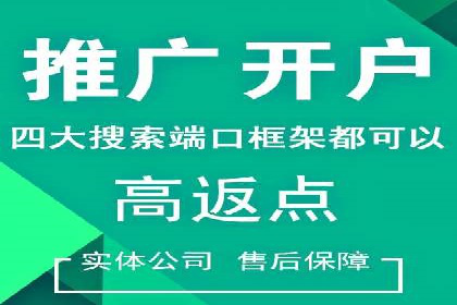 百度竞价推广公司经典案例解析：广告投放策略的智慧